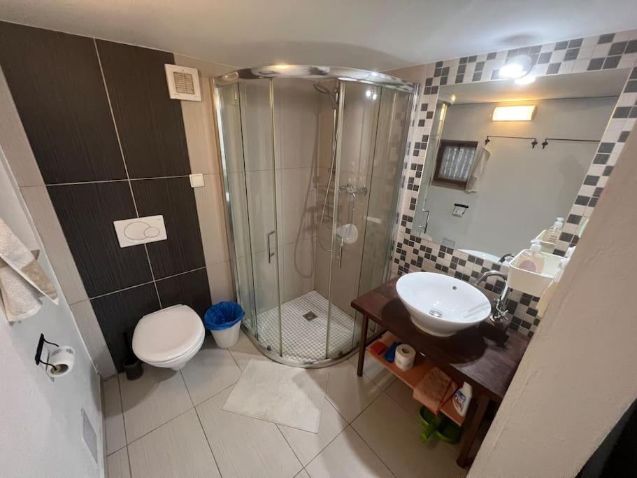 Stefanka Apartment Old Town Братислава Екстер'єр фото